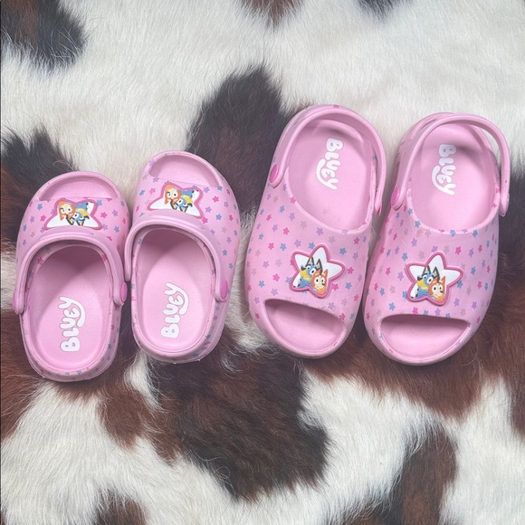 Bluey Slides - Picture 1 of 3